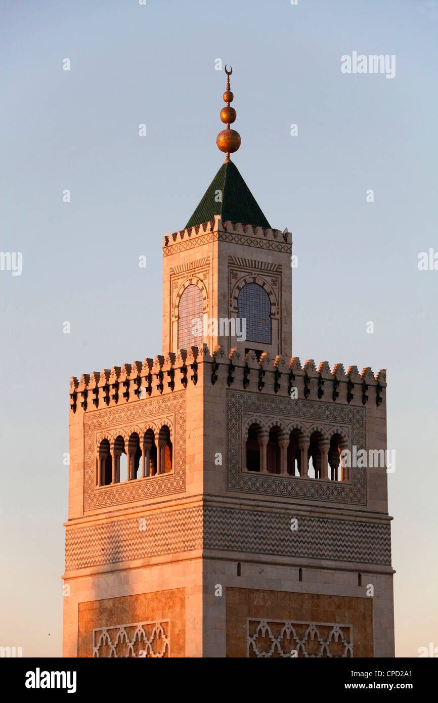 Great Mosque (Ezzitouna Mosque) minaret, Tunis, Tunisia, North Africa, Africa Stock Photo