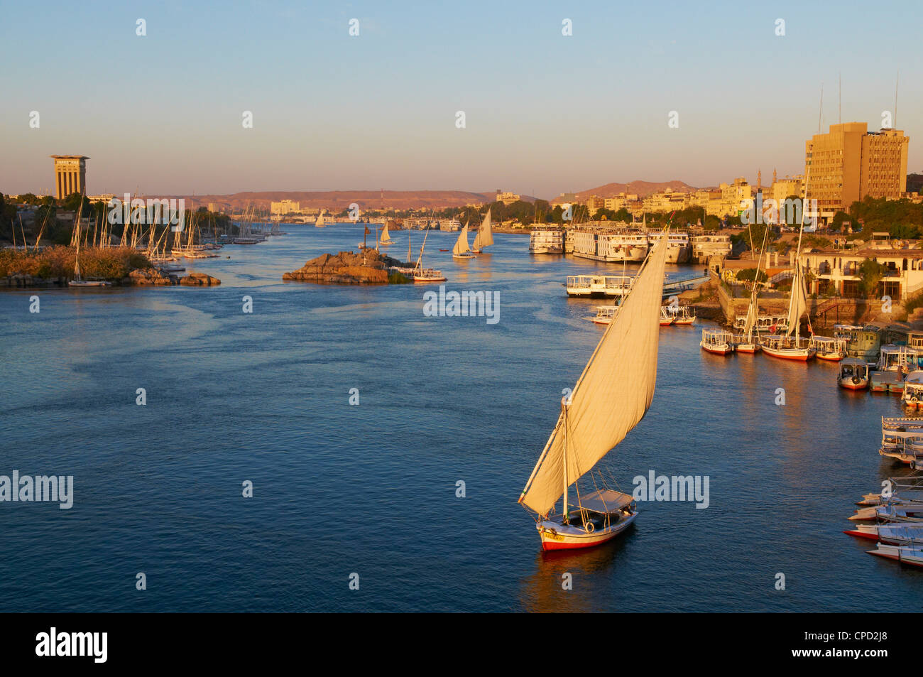 Feluccas on the River Nile, Aswan, Egypt, North Africa, Africa Stock Photo