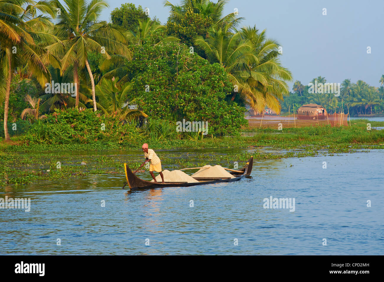 Small boat on the Backwaters, Allepey, Kerala, India, Asia Stock Photo