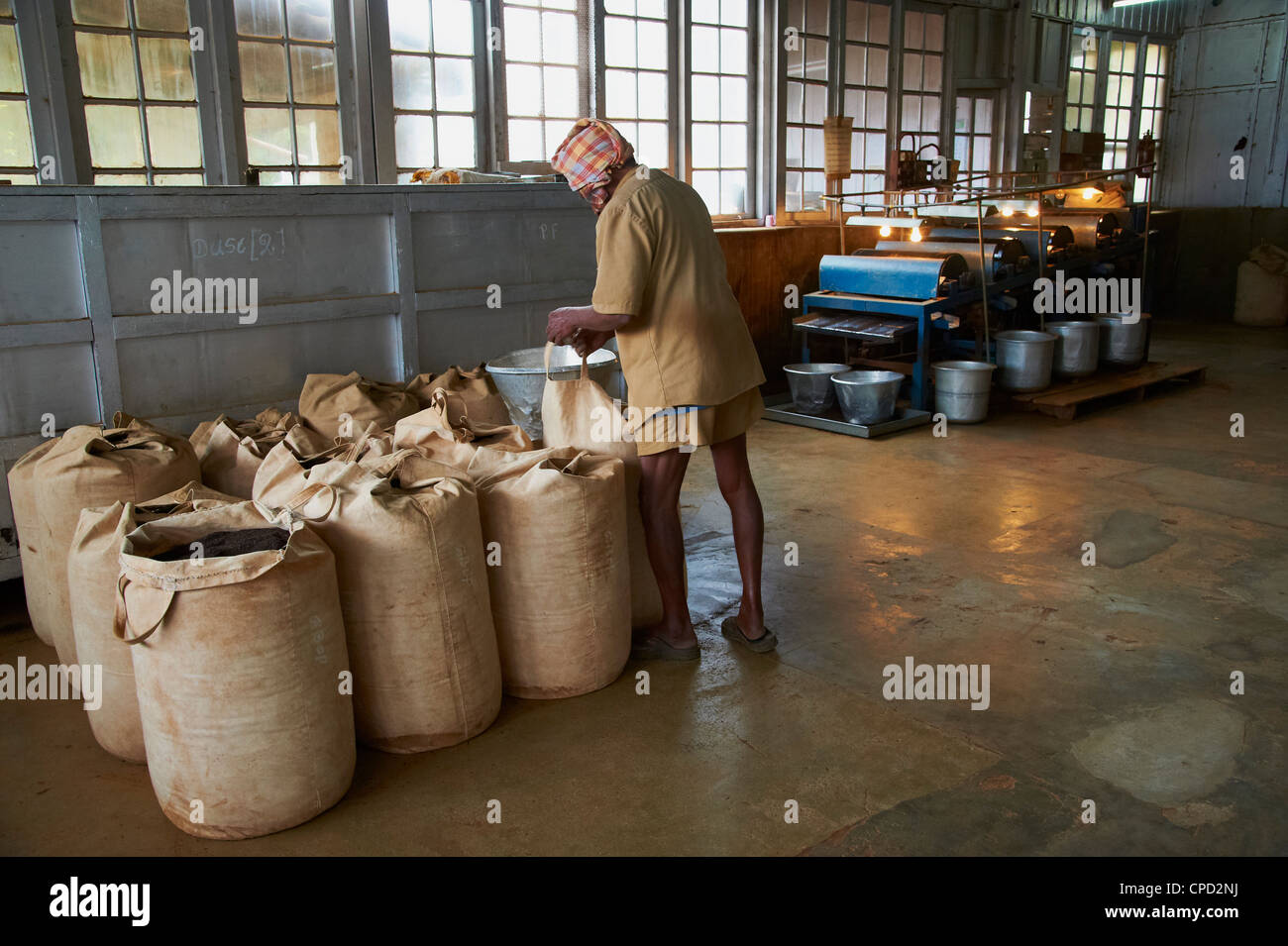 Sivakasi tea estate, the world's highest tea factory, Munnar, Kerala