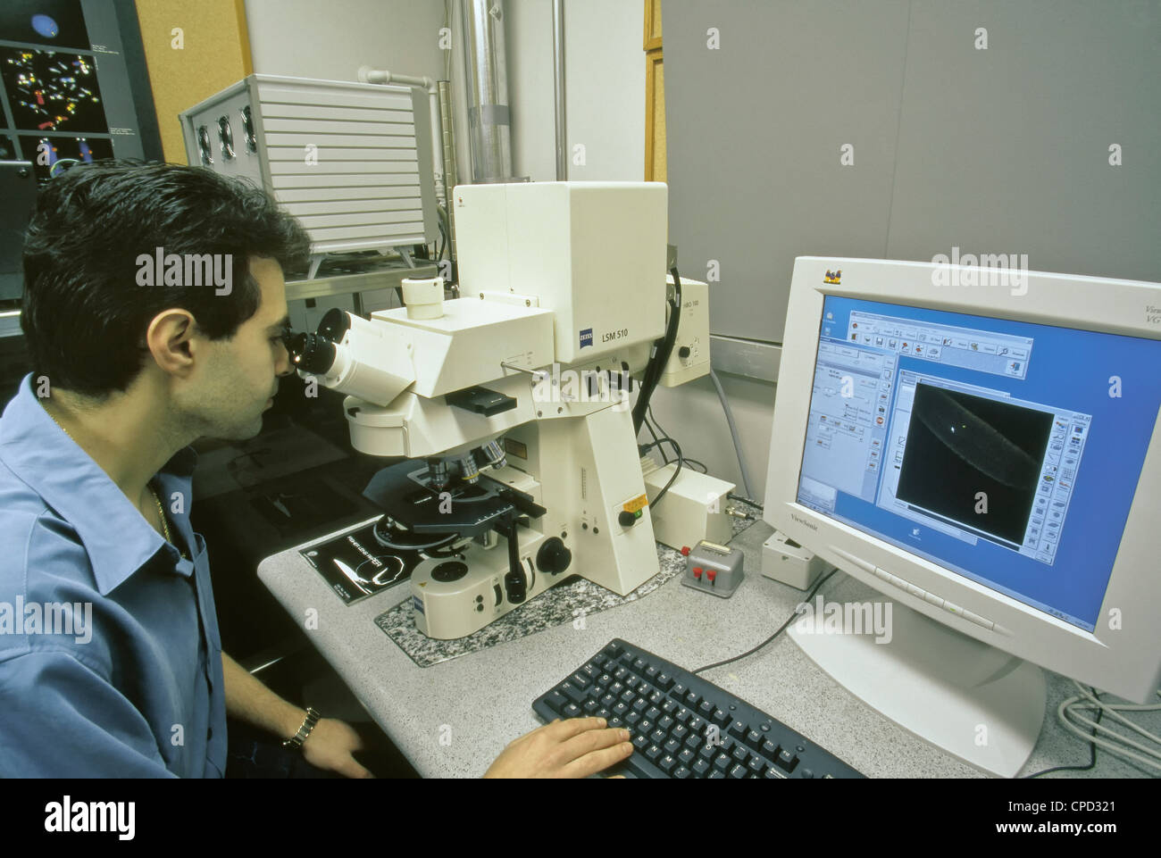 Student operating Zeiss LSM510  Laser Scanning Confocal Microscope. Stock Photo