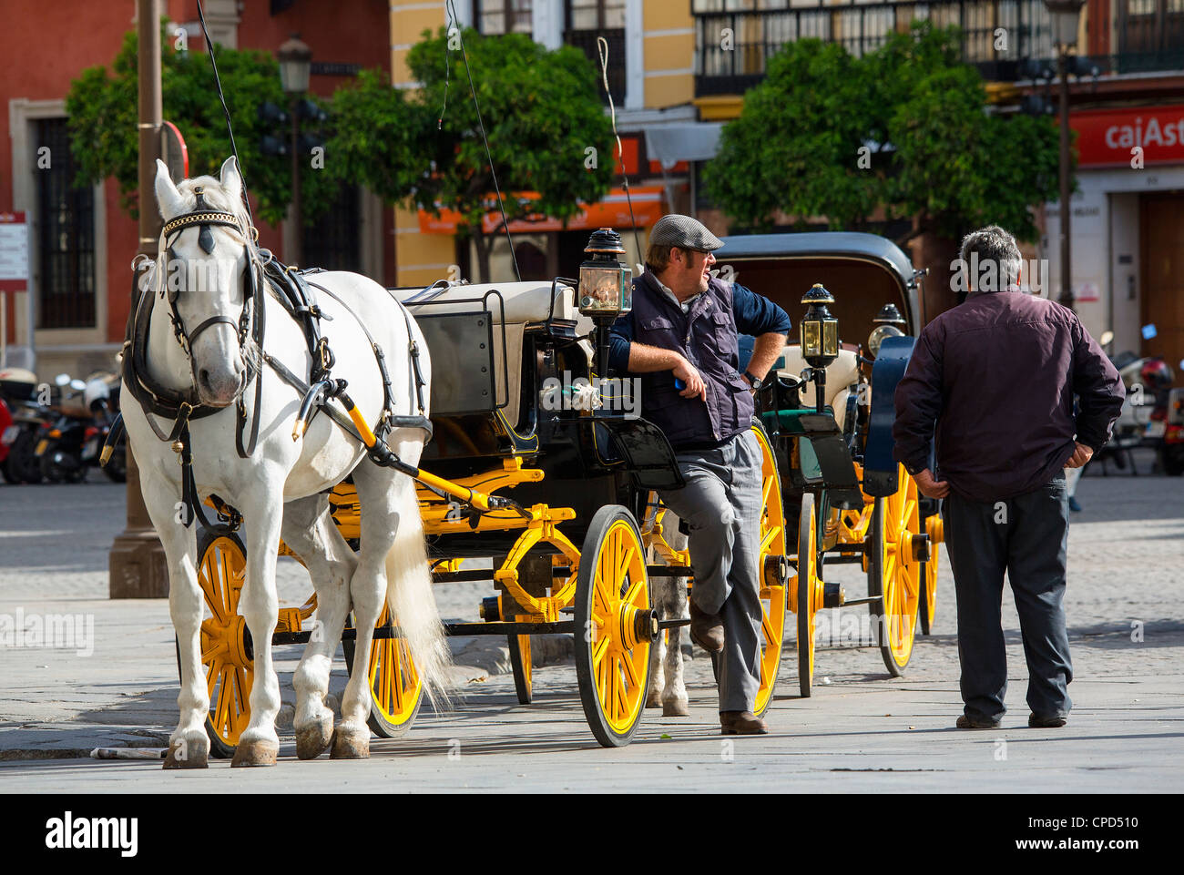 Spain, Andalusia, Sevilla, Horse and Carriage on Plaza de San Francisco Stock Photo