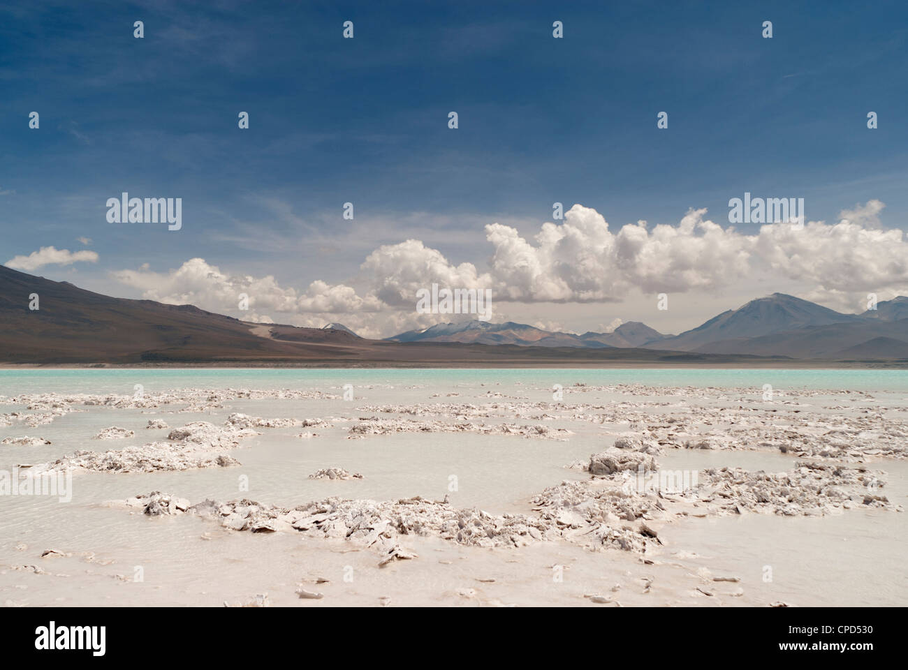 Salt cristals salt flats Atacama, Bolivia Stock Photo