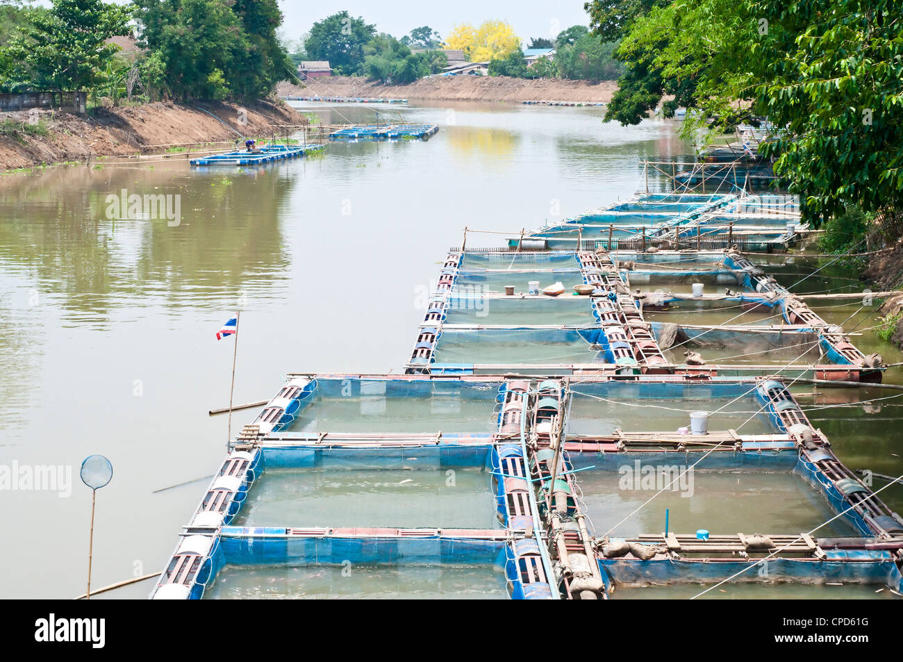Cage fish farming hi-res stock photography and images - Alamy