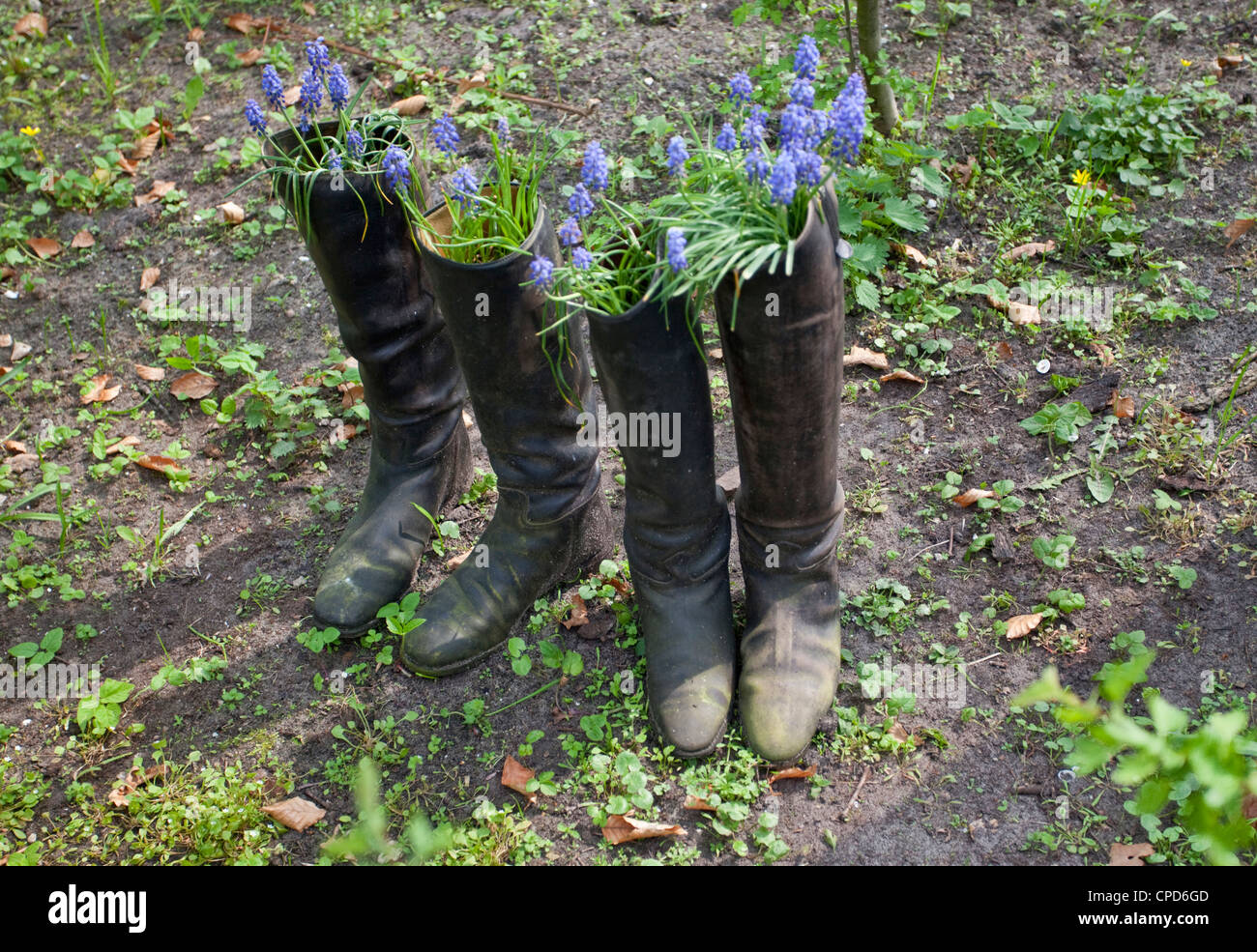 boots as flower pots, Keukenhof Park, Lisse, Netherlands Stock Photo