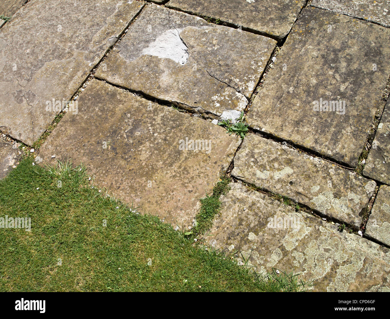 York stone/flagstone path with weathered joints abutting a lawn Stock