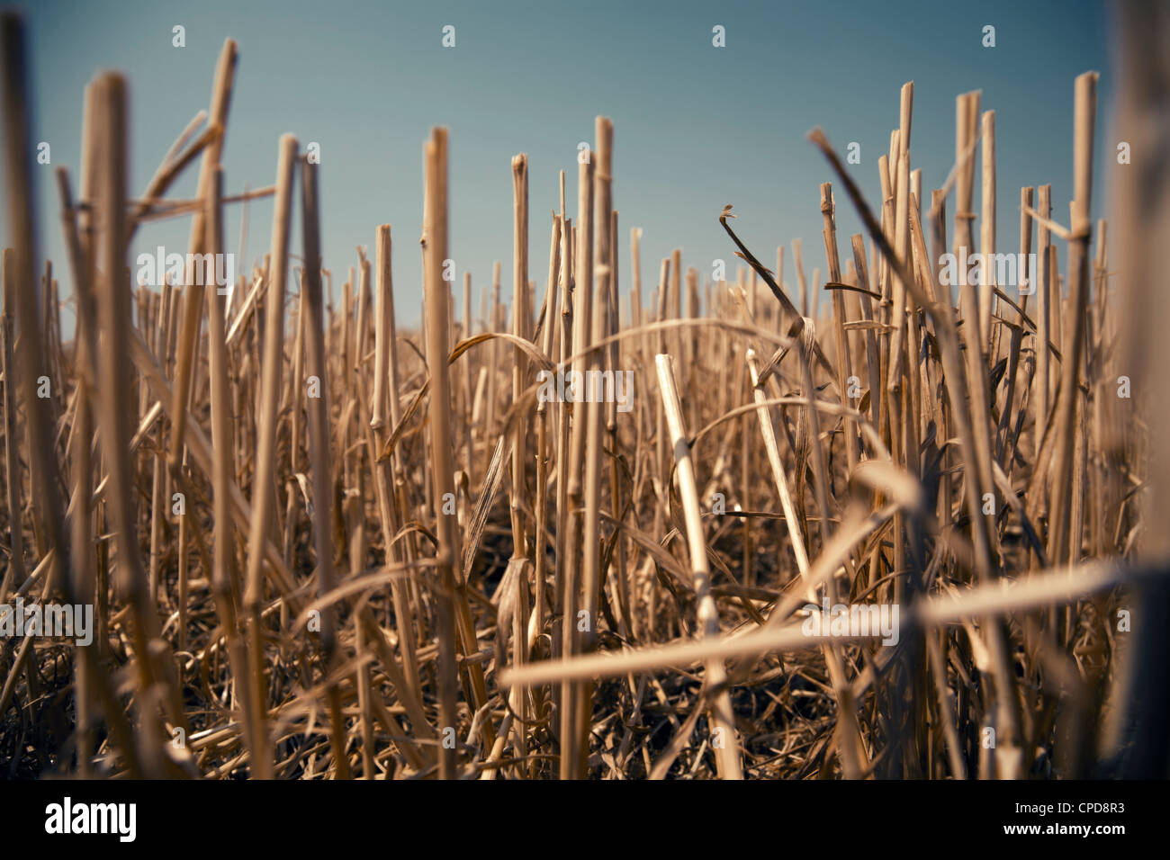 Ground level view hi-res stock photography and images - Alamy