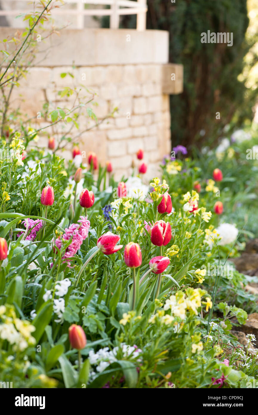 Mixed flower bed in spring at Painswick Rococo Garden, Gloucestershire