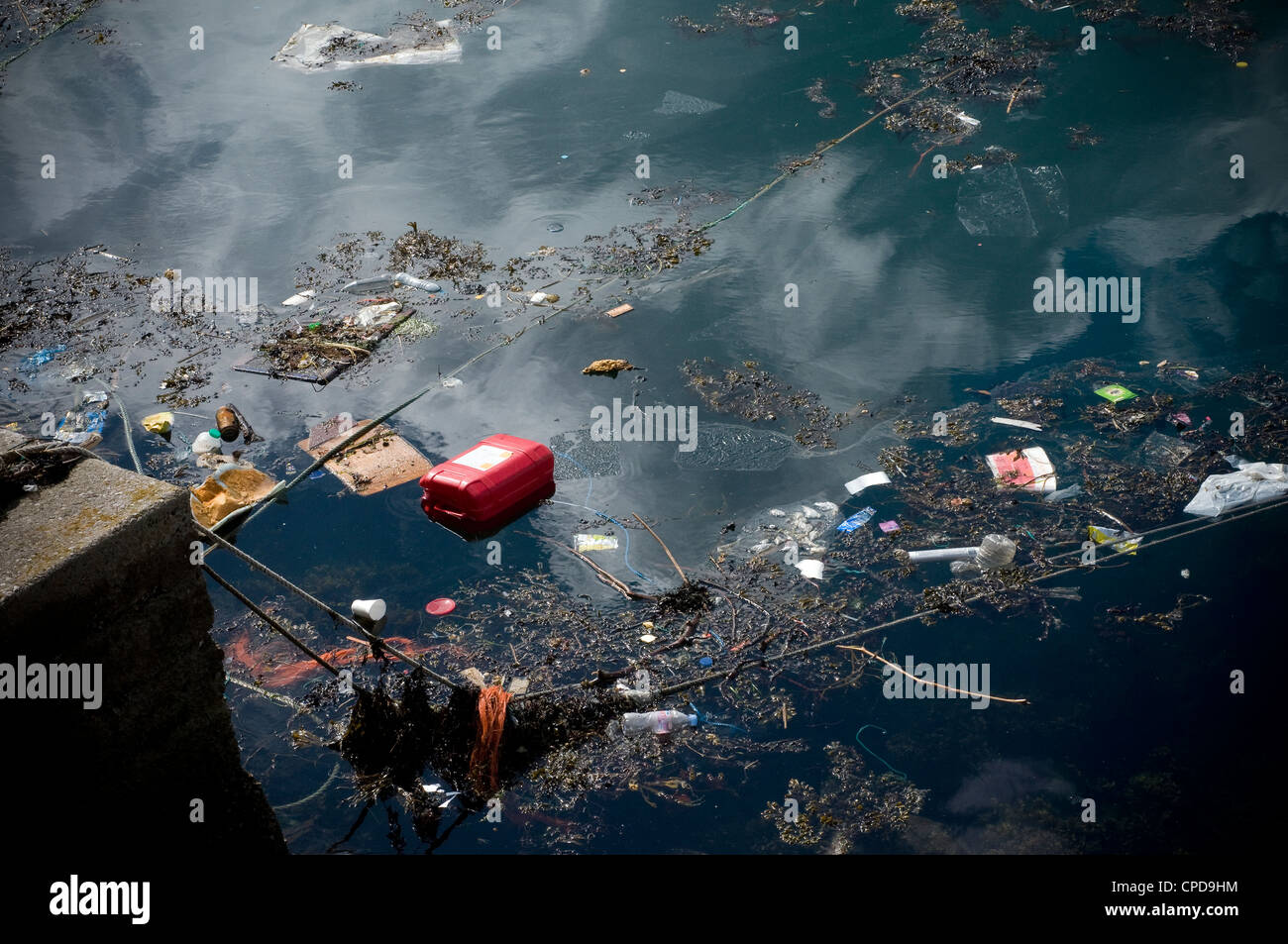 Brixham harbour,environment, garbage, litter, polluted, pollution, refuse, rubbish, sea, environment, garbage, litter, mediterra Stock Photo