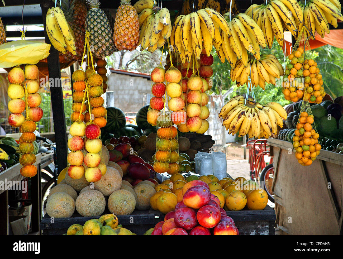 Brazil street stall vendor selling tropical fruits Stock Photo Alamy