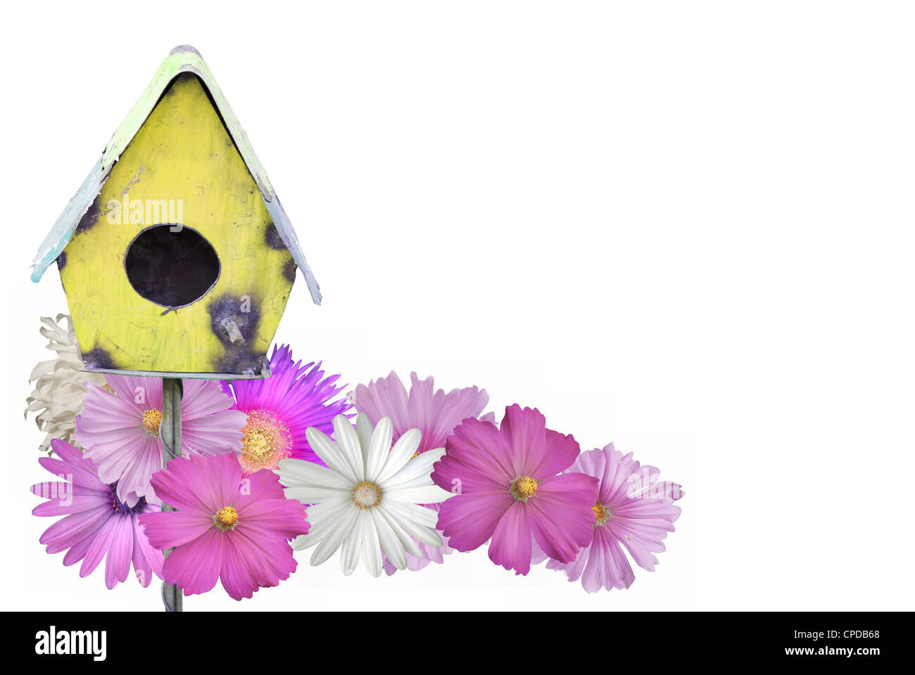 Bird House With Summer Flowers Stock Photo