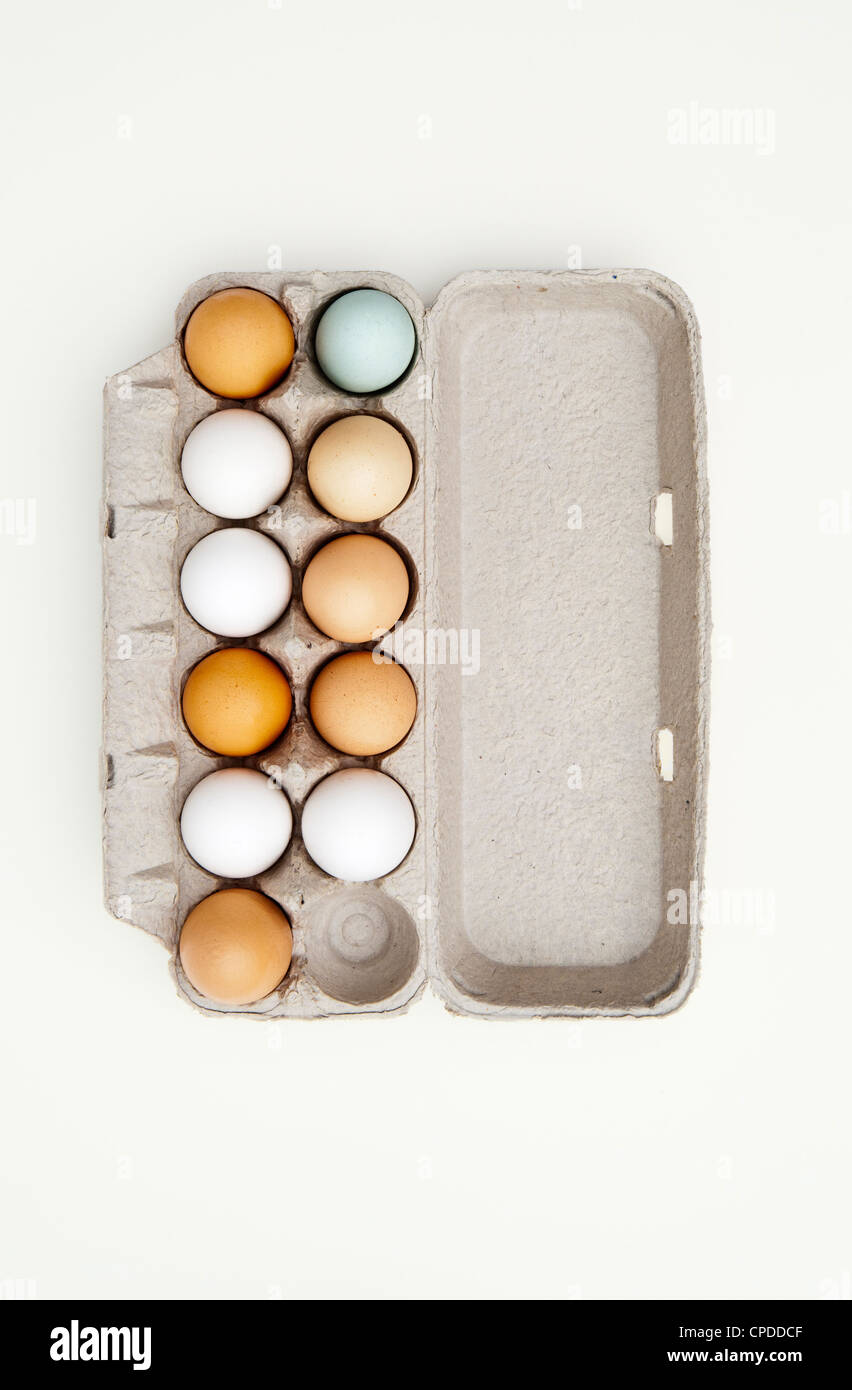 Colored eggs in egg carton Stock Photo Alamy