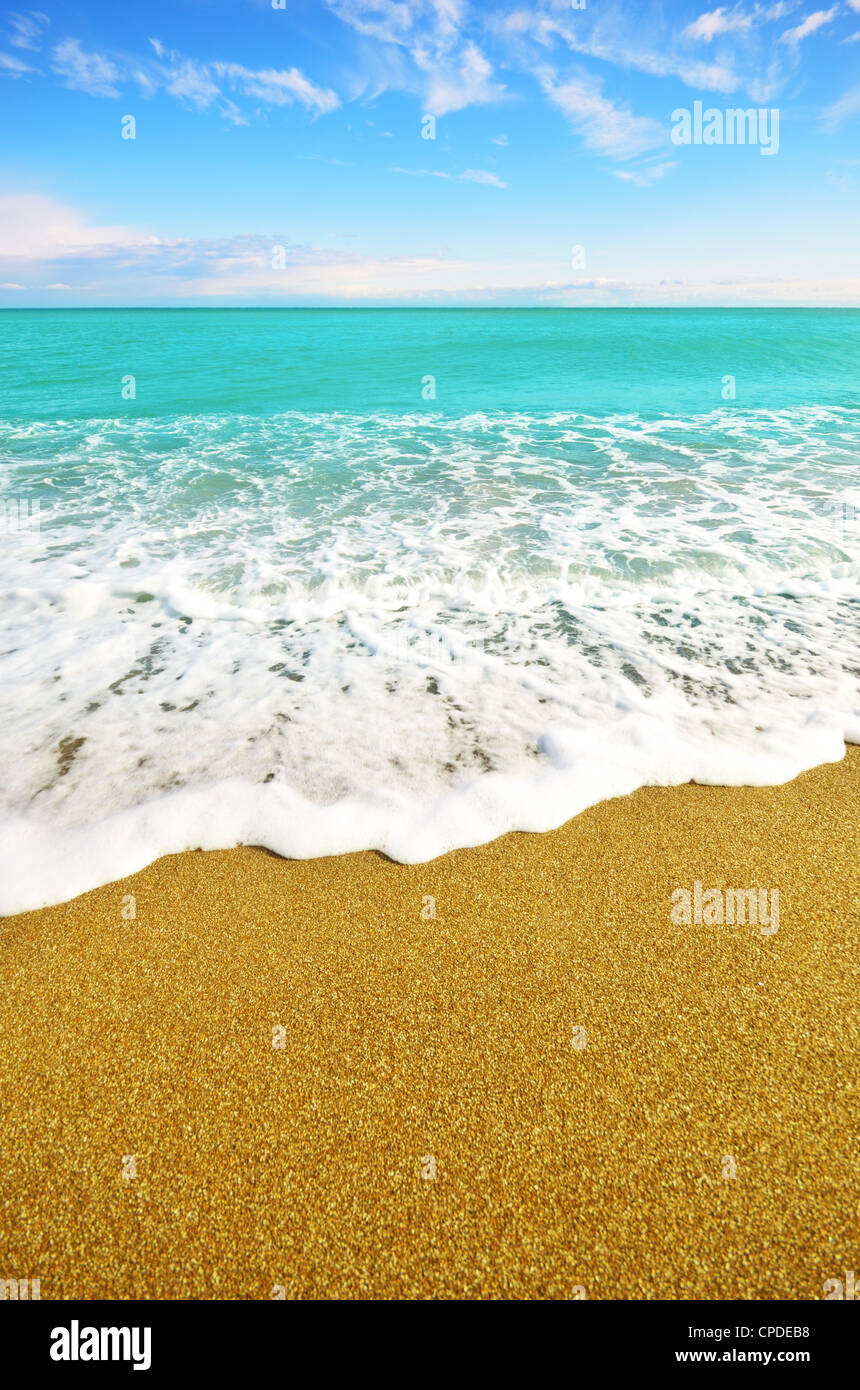 Sea shore at summer sunny day with copy-space Stock Photo