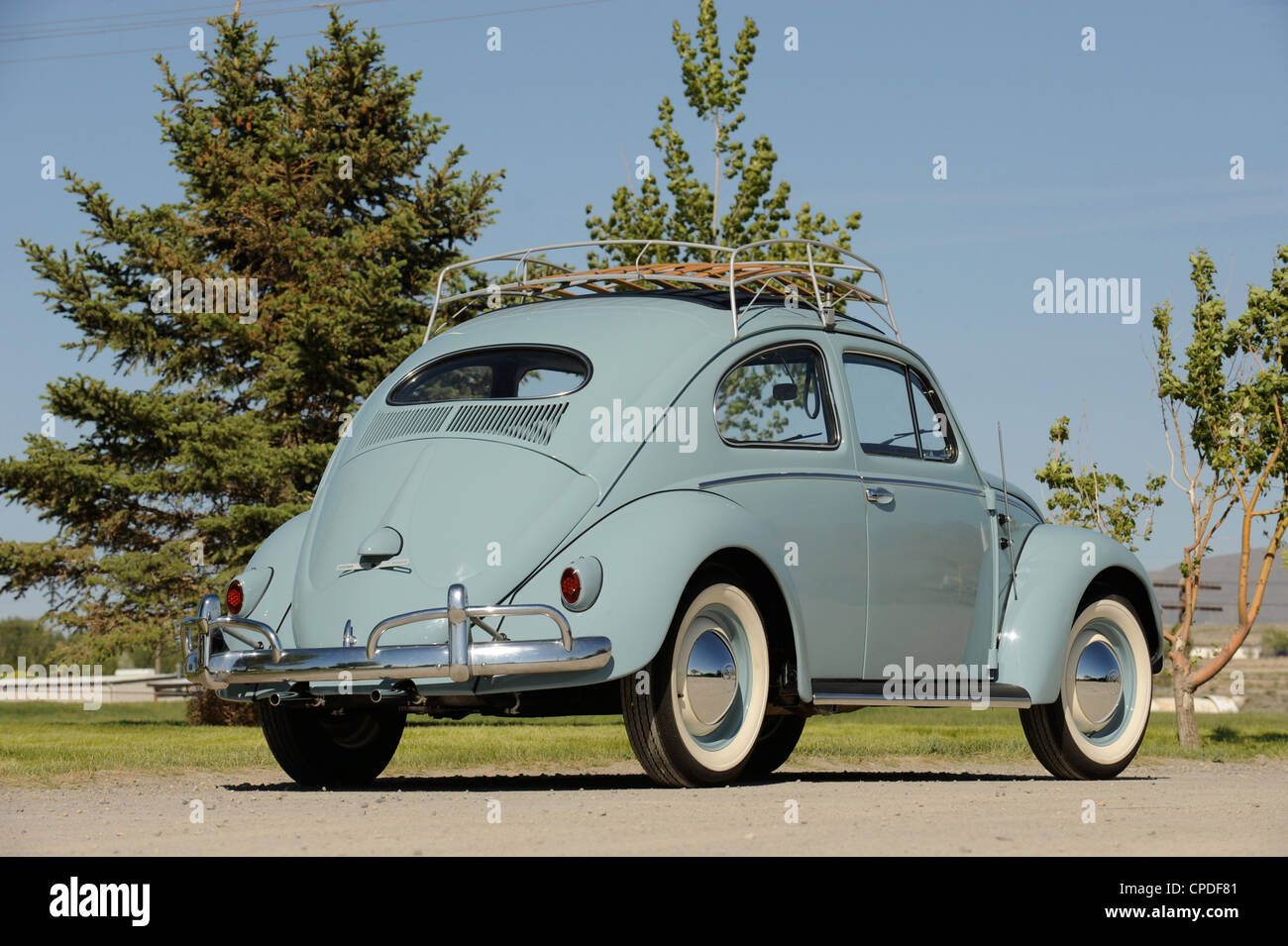 1957 vw beetle