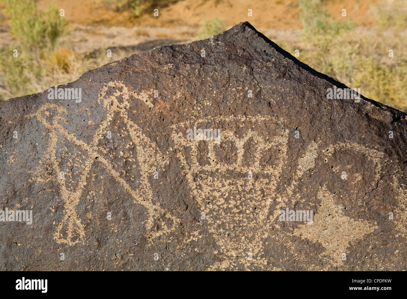 Petroglyph National Monument (Boca Negra Canyon), Albuquerque, New Mexico, United States of America, North America Stock Photo