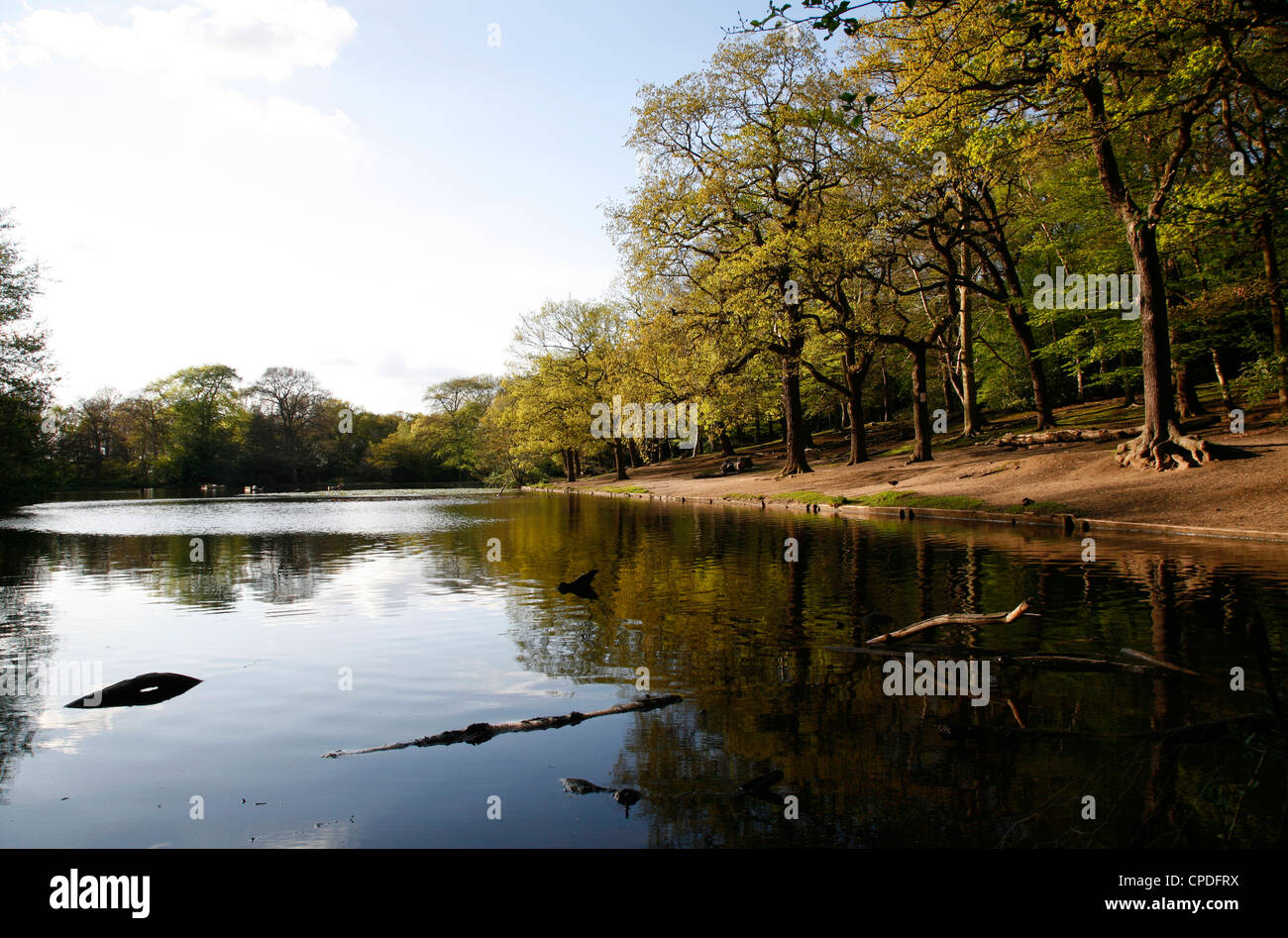 Queensmere Pond on Wimbledon Common, Wimbledon, London, UK Stock Photo