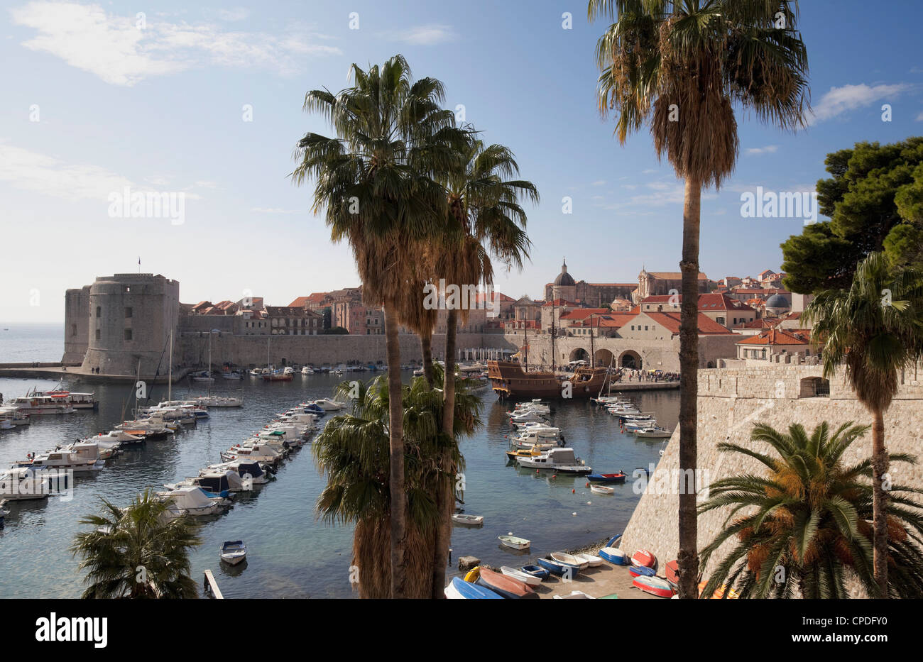 Palm trees and the harbour, Dubrovnik Old Town, Dubrovnik, Croatia, Europe Stock Photo