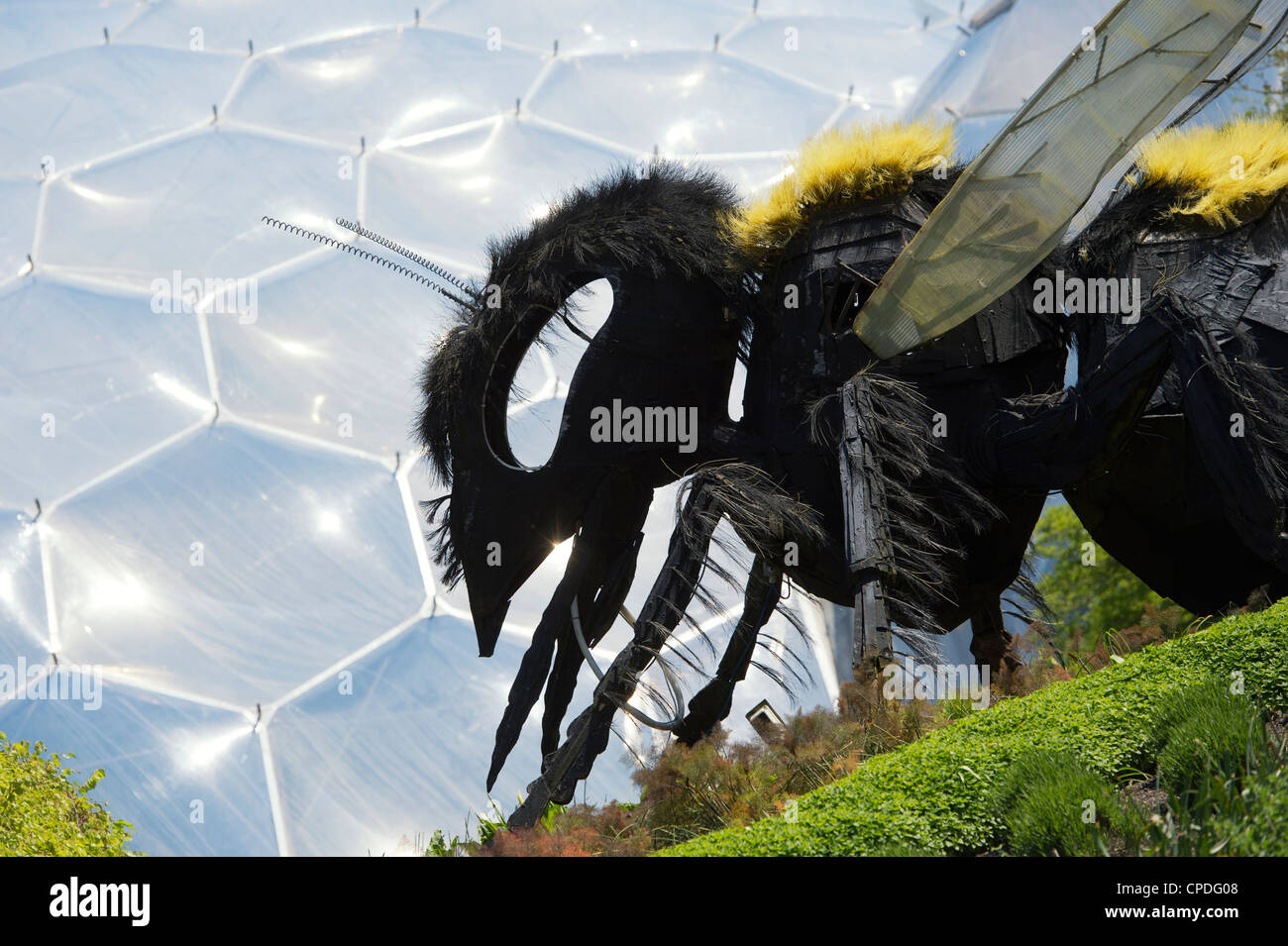 Bee Sculpture, Eden project, Cornwall, England Stock Photo