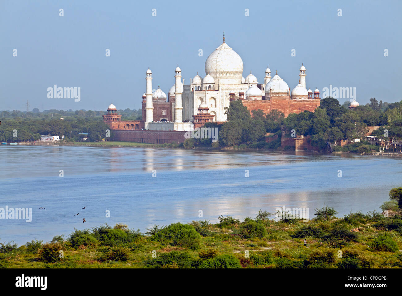 Taj Mahal, UNESCO World Heritage Site, across the Jumna (Yamuna) River, Agra, Uttar Pradesh state, India, Asia Stock Photo