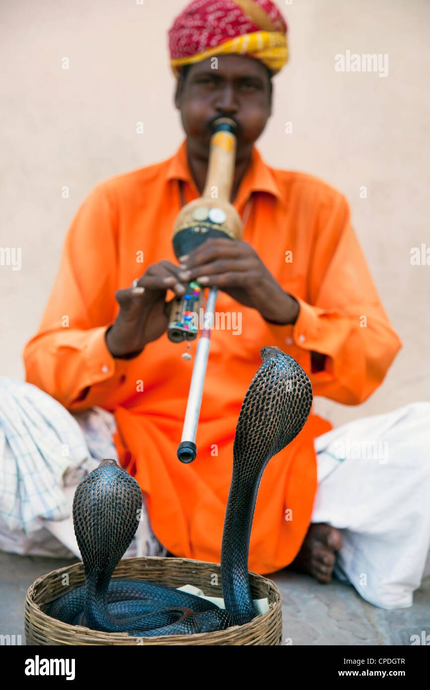Cobra snake charmer outside the City Palace, Jaipur, Rajasthan, India, Asia Stock Photo