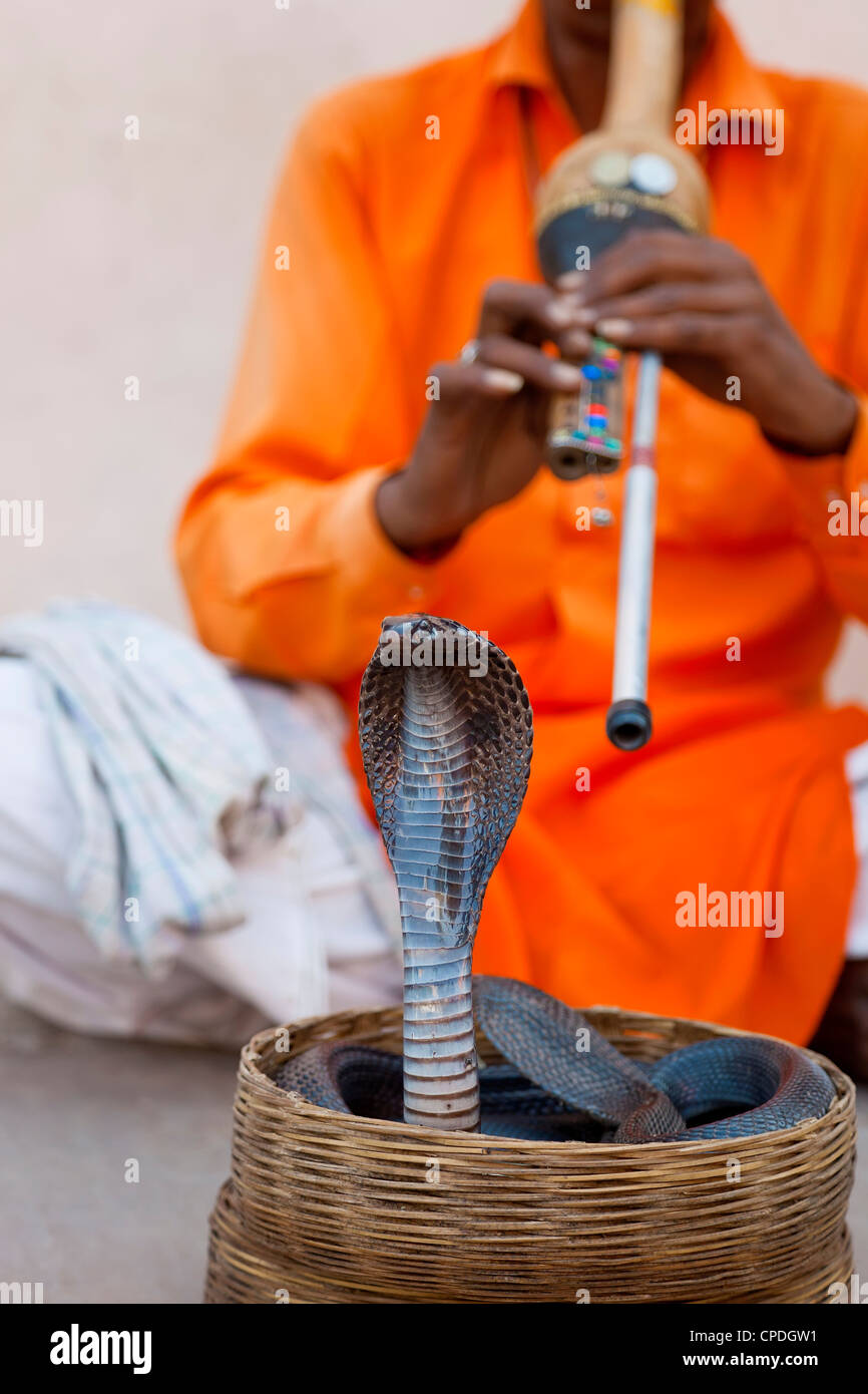 Cobra snake charmer outside the City Palace, Jaipur, Rajasthan, India