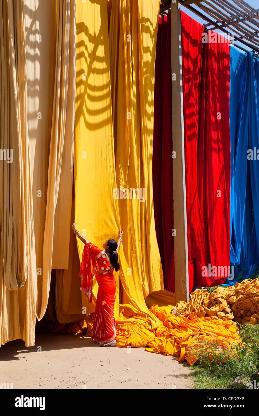 Woman in sari checking the quality of freshly dyed fabric hanging to dry, Sari garment factory, Rajasthan, India, Asia Stock Photo