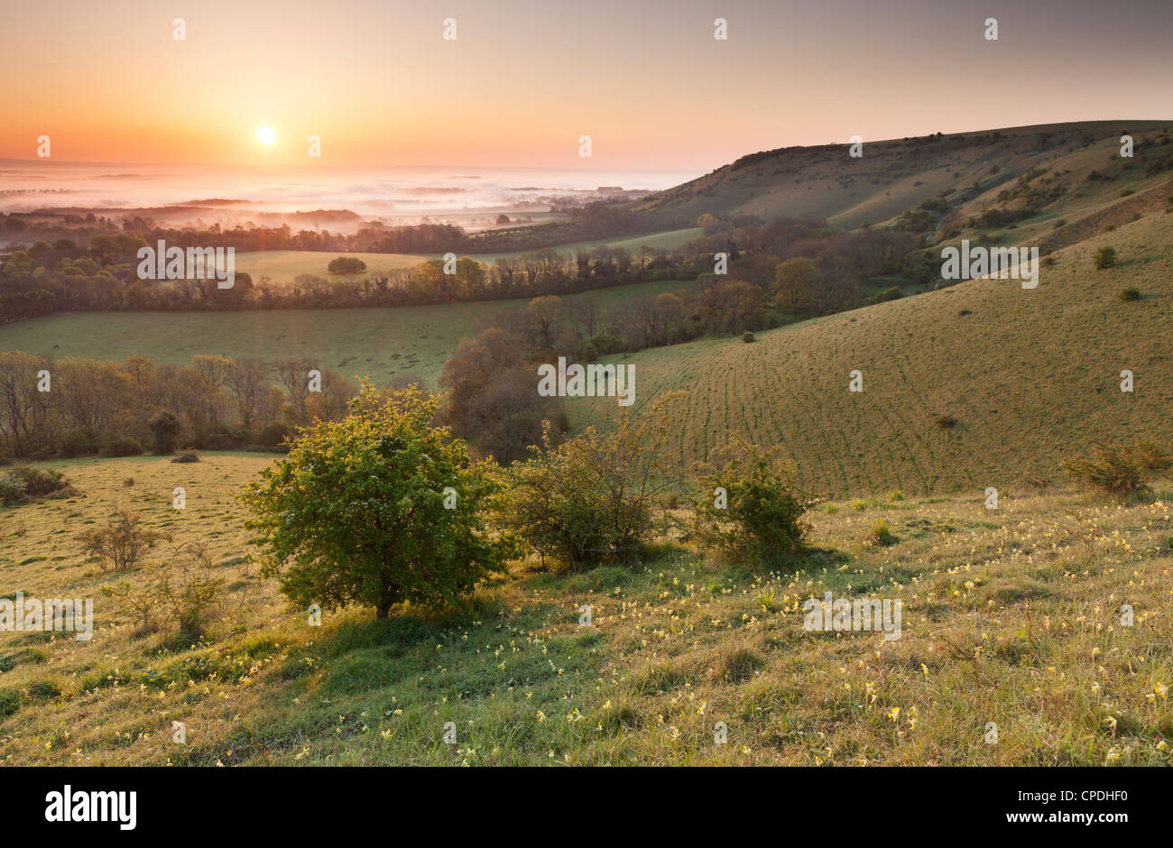 A beautiful sunrise at Ditchling Beacon, South Downs National Park in East Sussex, England, UK Stock Photo