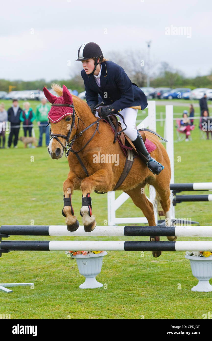 A horse and rider competing in a show jumping event held outside on a ...