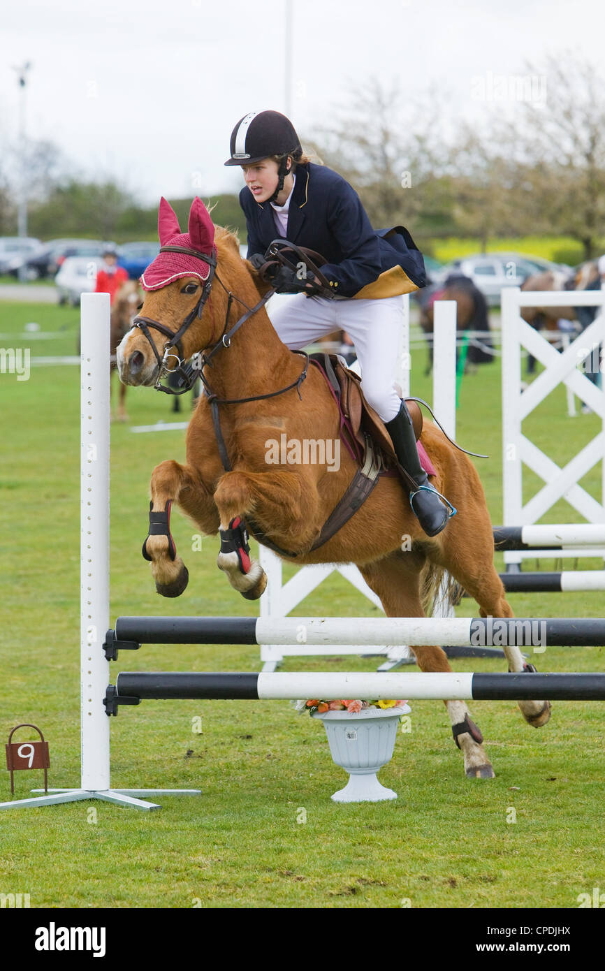 A horse and rider competing in a show jumping event held outside on a grass field in England Stock Photo