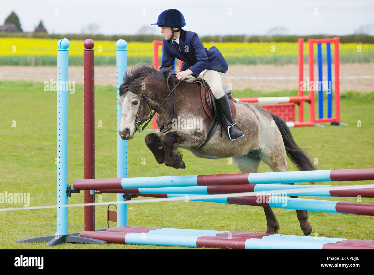 A horse and rider competing in a show jumping event held outside on a ...