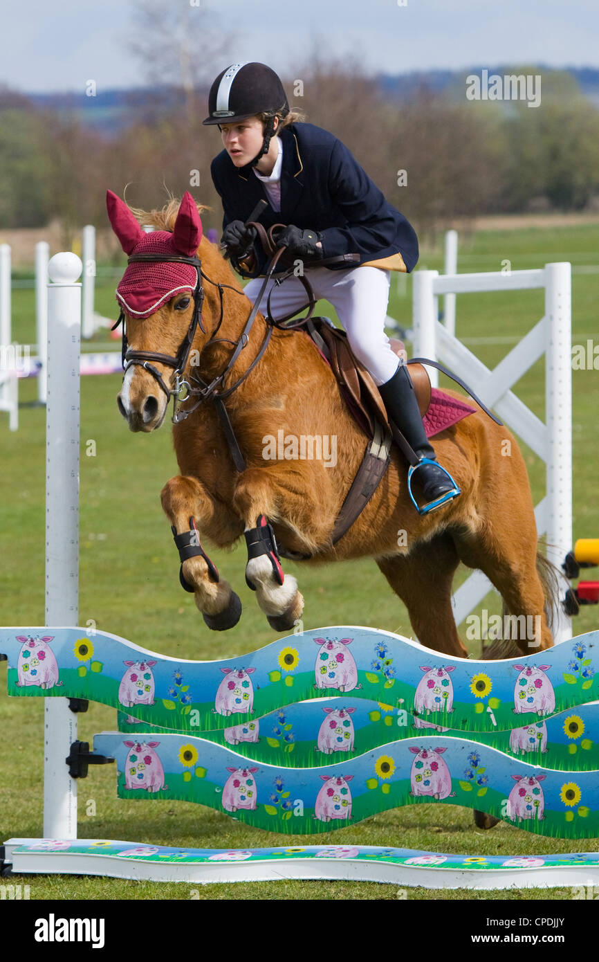 A horse and rider competing in a show jumping event held outside on a ...