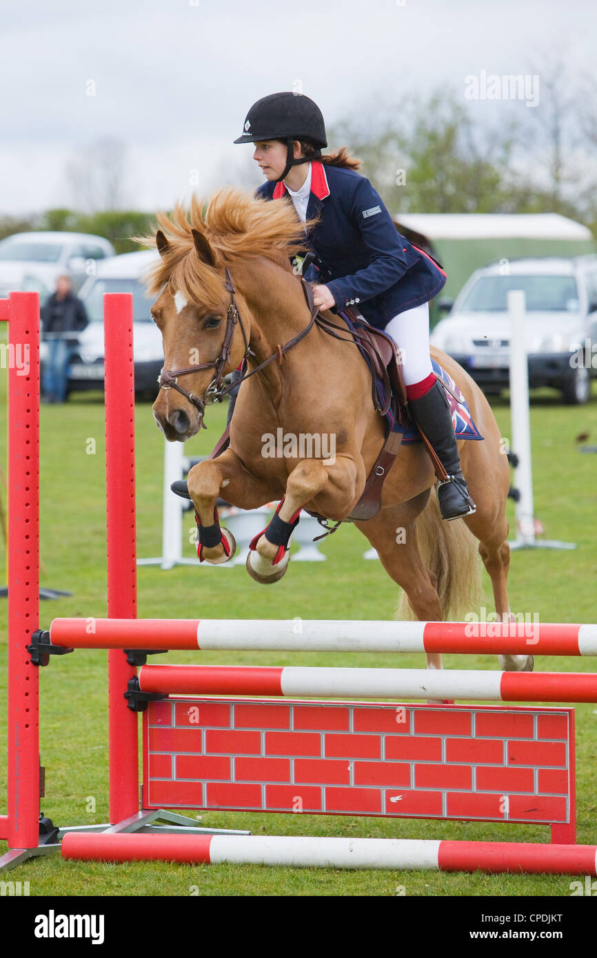 A horse and rider competing in a show jumping event held outside on a ...