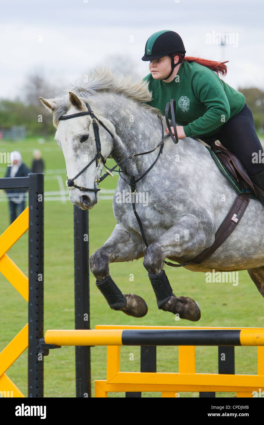 A horse and rider competing in a show jumping event held outside on a ...