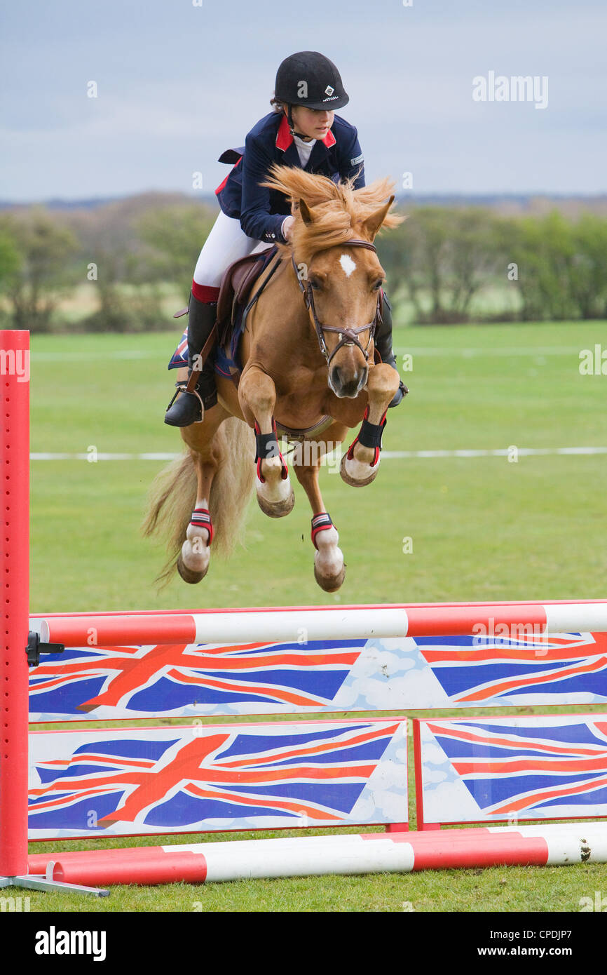 A horse and rider competing in a show jumping event held outside on a ...