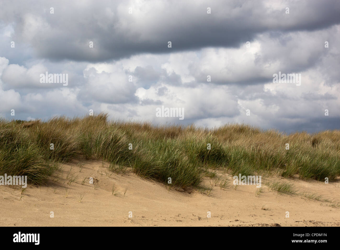 Studland beach hi-res stock photography and images - Alamy