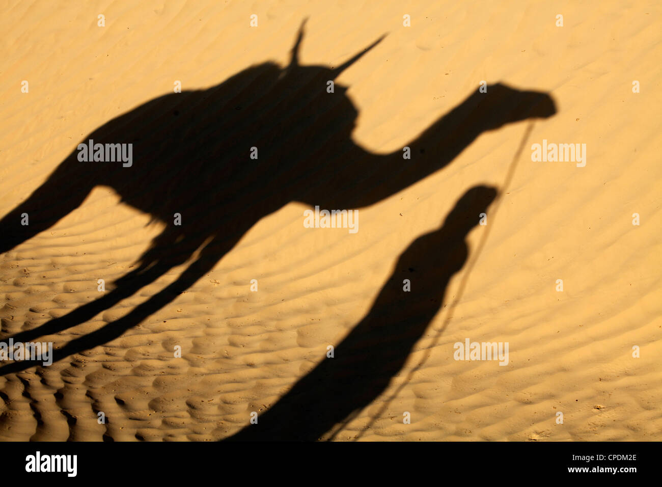 Camel driver's shadow in the Sahara desert, near Douz, Kebili, Tunisia, North Africa, Africa Stock Photo