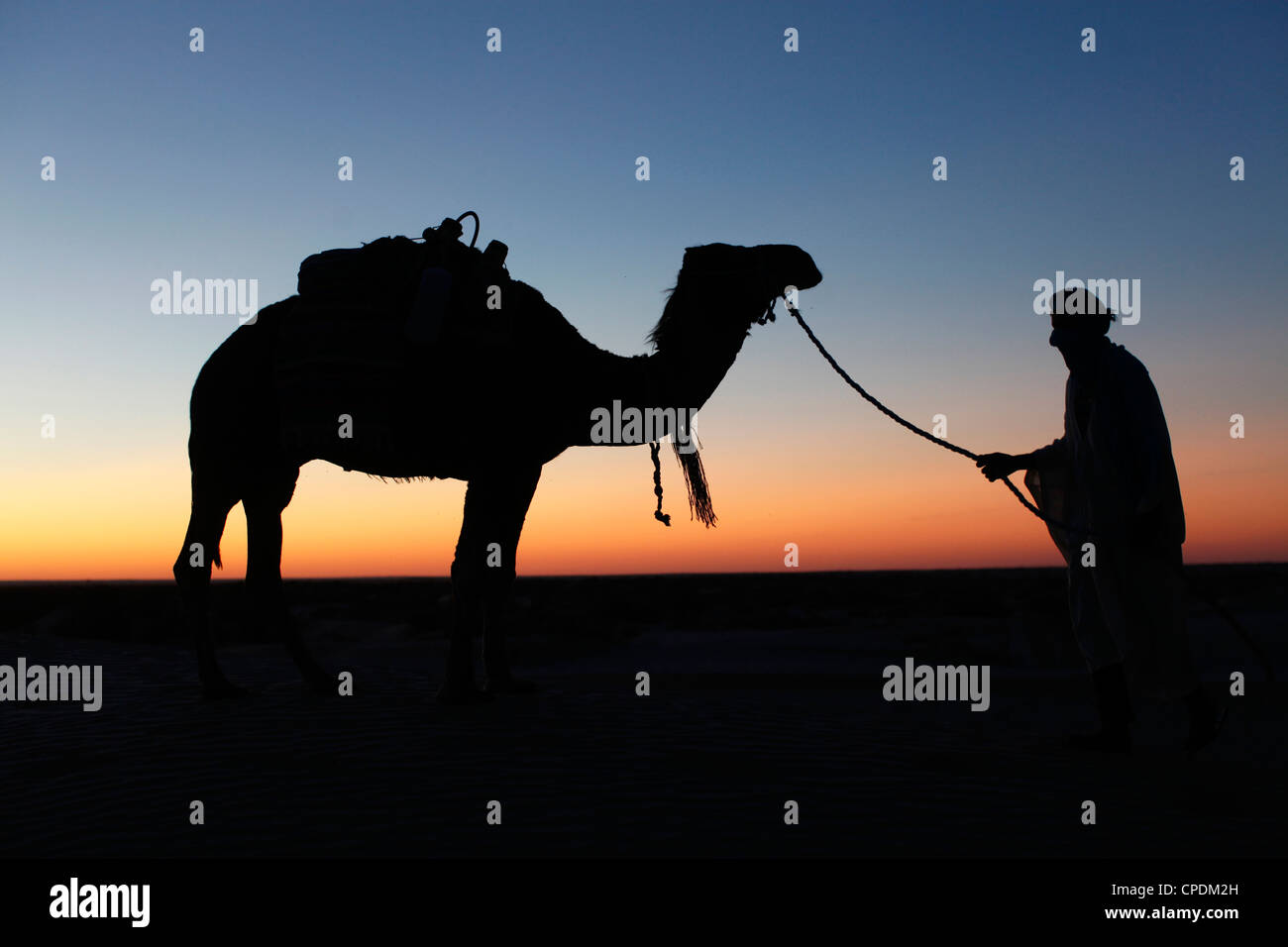 Camel driver at dusk in the Sahara desert, near Douz, Kebili, Tunisia, North Africa, Africa Stock Photo