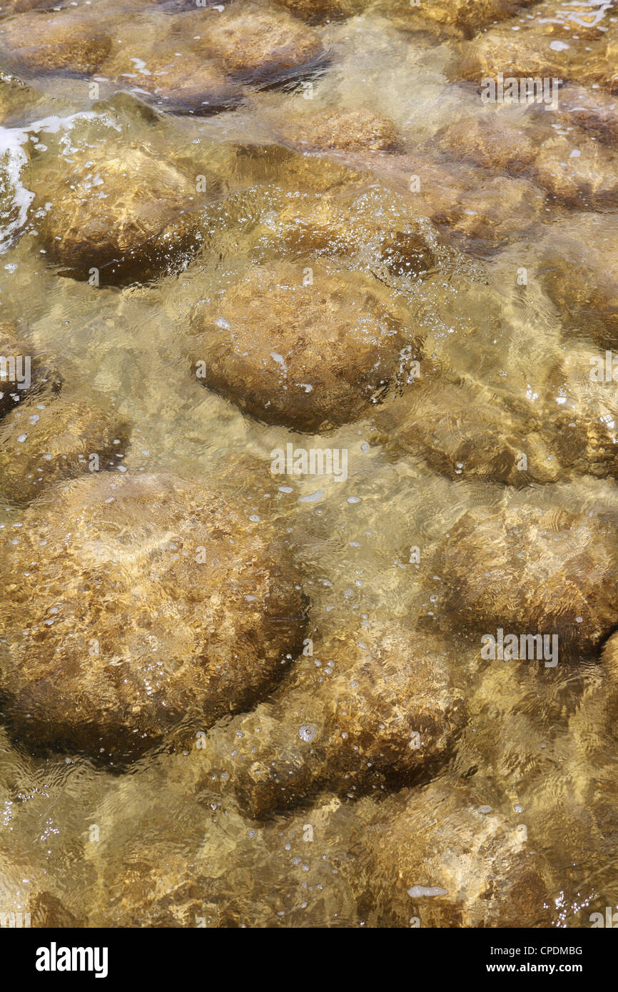 Thrombolites, living stones, in Lake Clifton, Yalgorup National Park, Western Australia, Australia, Pacific Stock Photo
