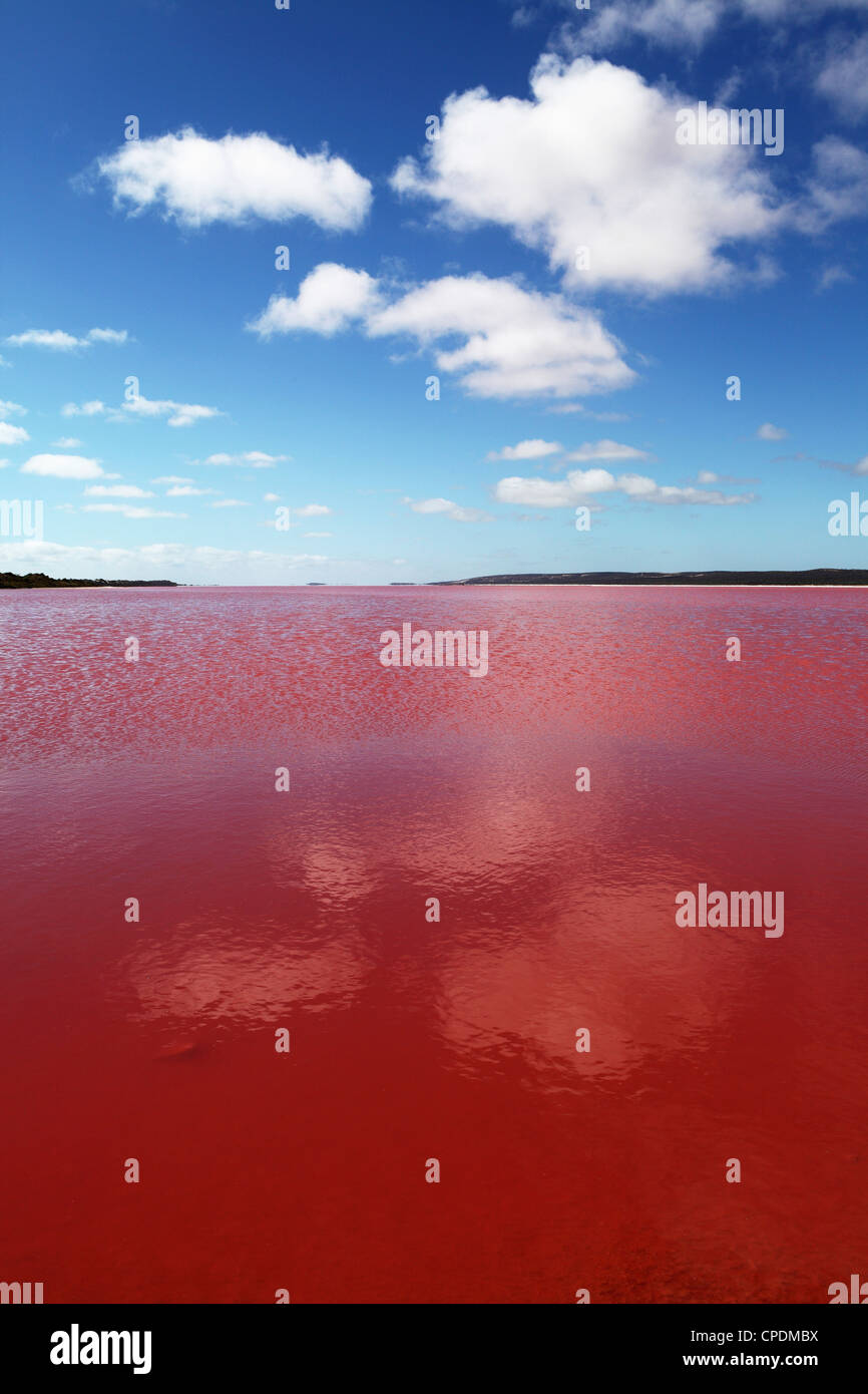 Edible algae provides a pink hue to the Hutt Pink Lagoon, Port Gregory, Western Australia, Australia, Pacific Stock Photo