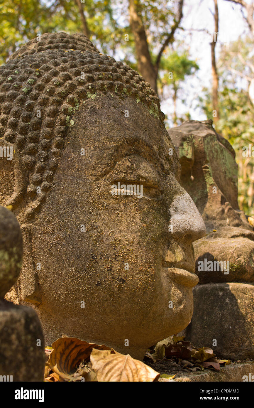 Buddha head In Wat Umong Chiangmai Stock Photo