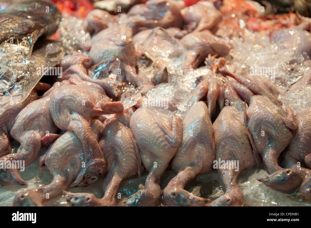 Dead chickens piled up at a market in Thailand Stock Photo