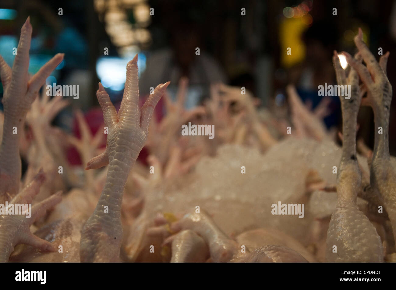 Chicken feet from dead chickens in a Thailand market Stock Photo