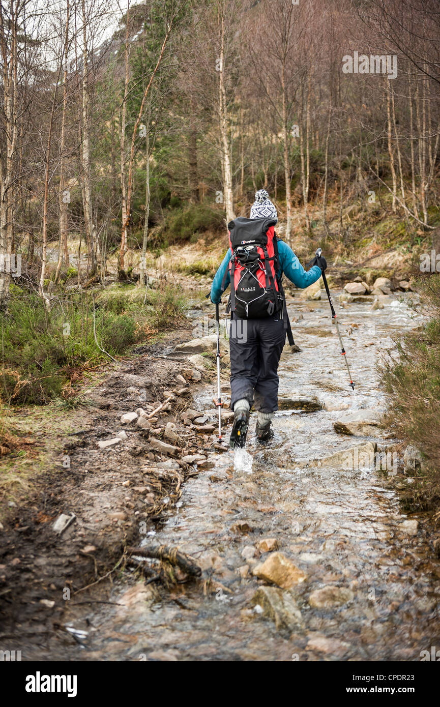 Walker walking around Glen Affric, Glen Affric, Highlands, Scotland, UK