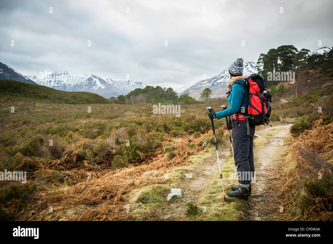 Walker walking around Glen Affric, Glen Affric, Highlands, Scotland, UK