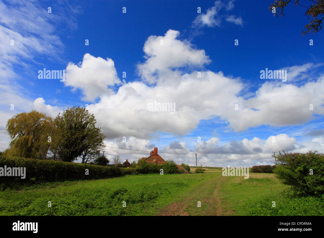 Country track in a rural landscape at Shernborne in Norfolk, England. Stock Photo