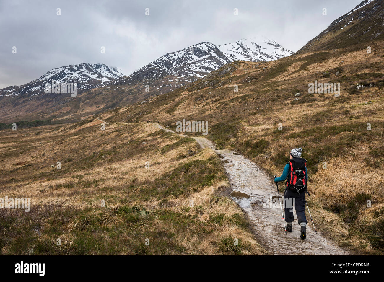 Walker walking around Glen Affric, Glen Affric, Highlands, Scotland, UK