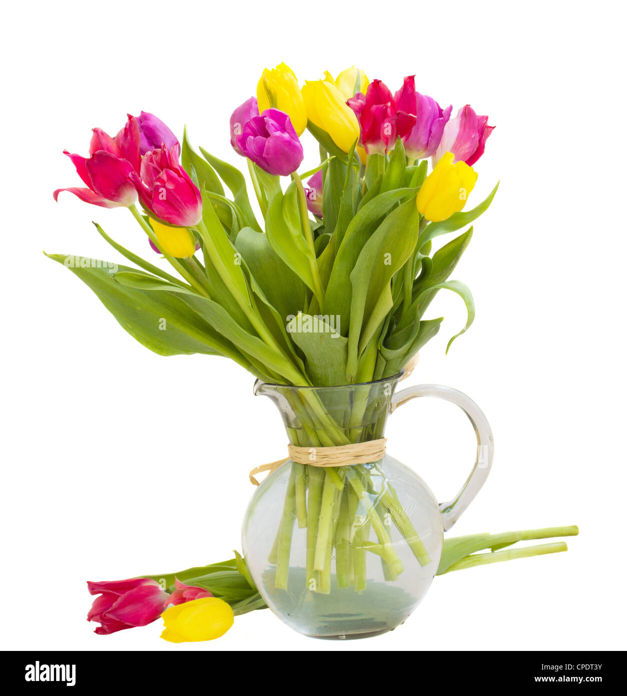 bouquet of tulips isolated on white background Stock Photo - Alamy