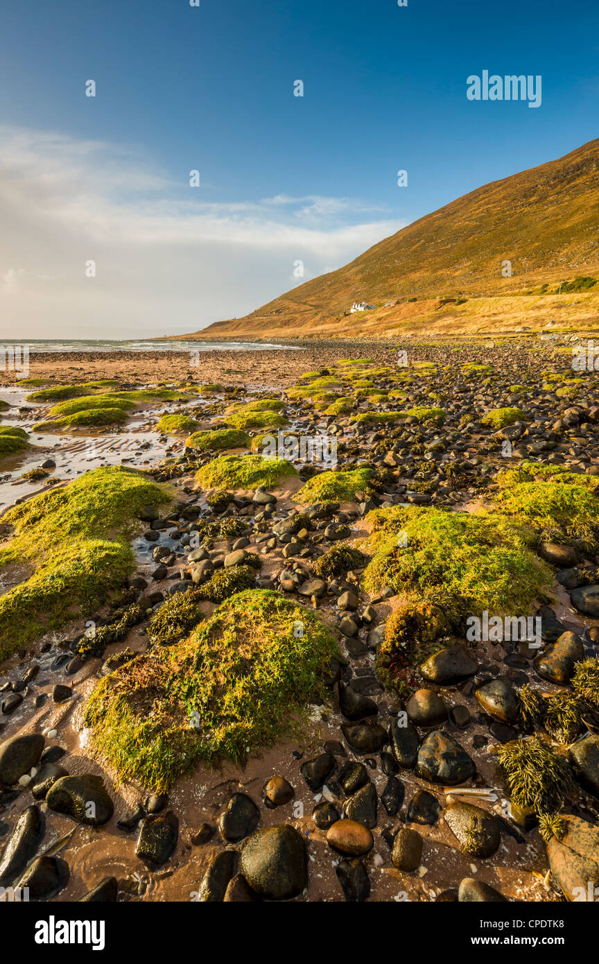 Grass mounds hires stock photography and images Alamy