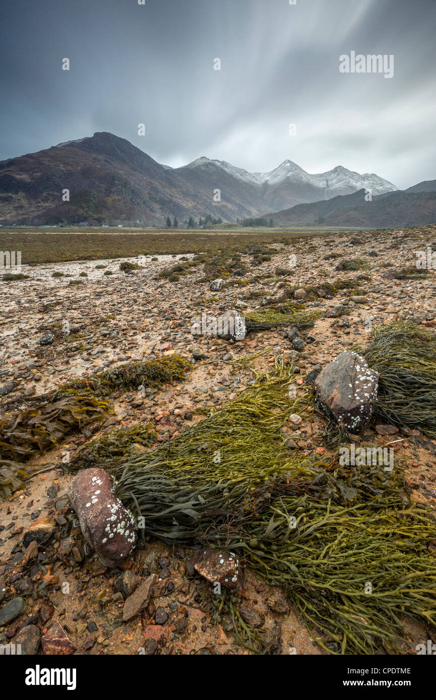 The Five Sisters of Kintail and seaweed covered rocks, Glen Sheil, Highlands, Scotland, UK Stock Photo