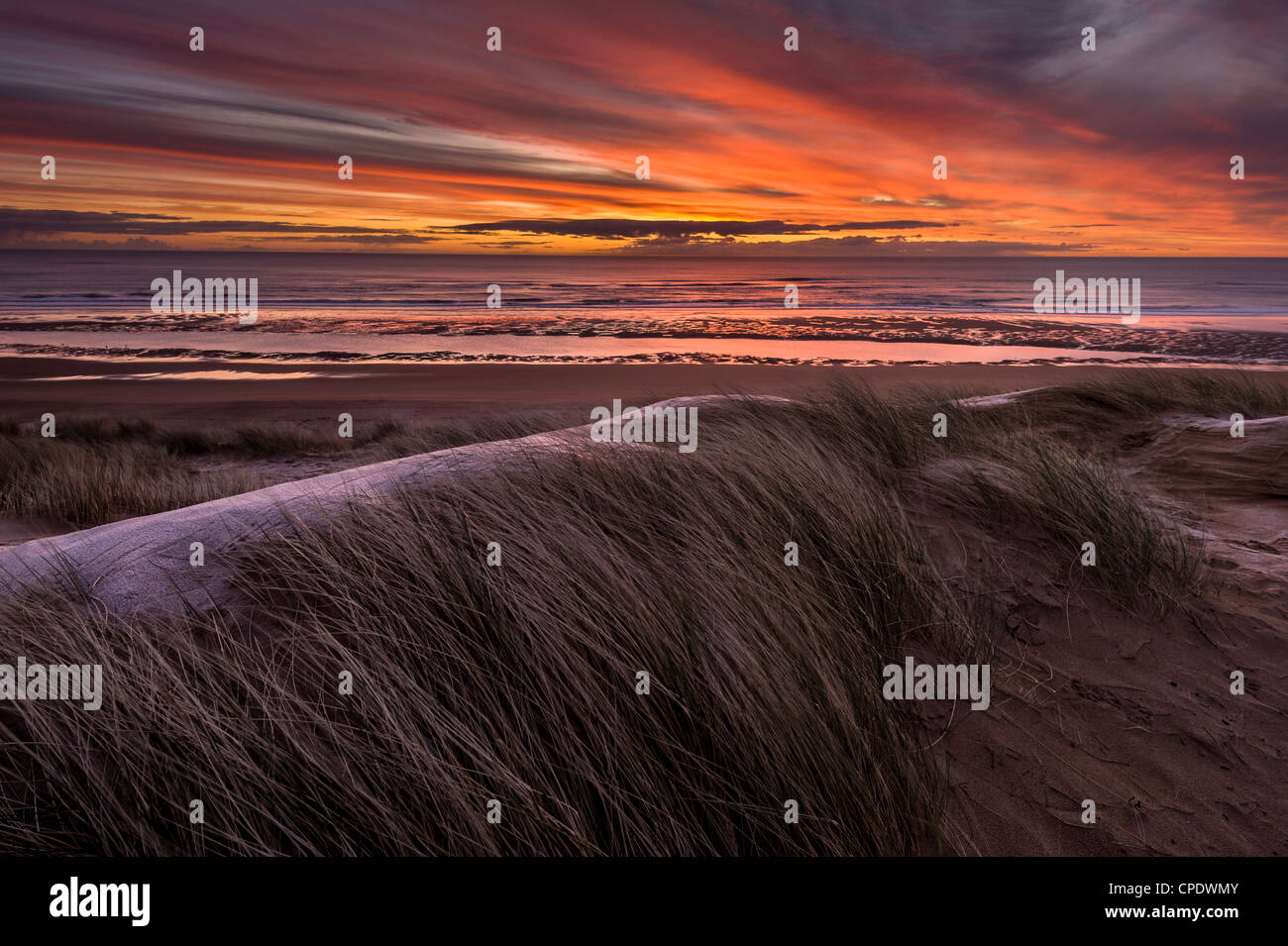 Balmedie beach hi-res stock photography and images - Alamy